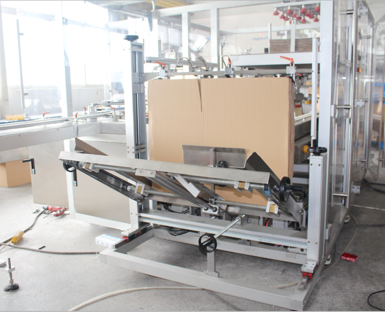 CPP-600 Automatic Case Packing Machine